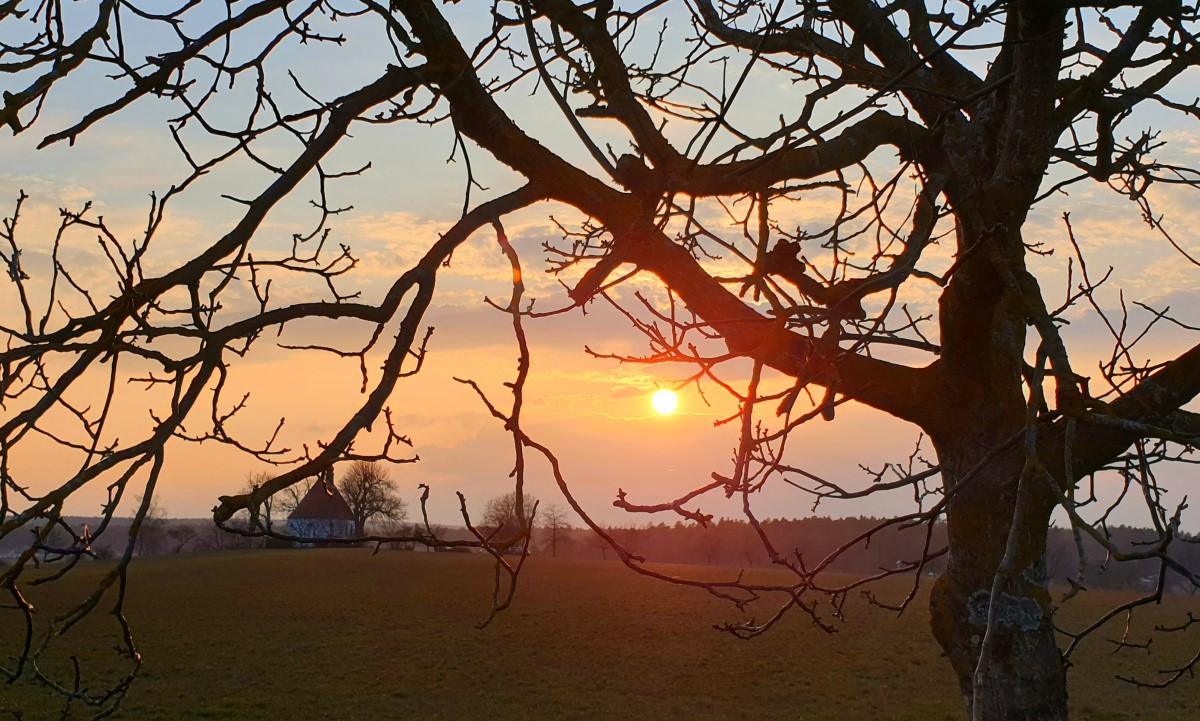 Weihnachten-als-Pr-fstein