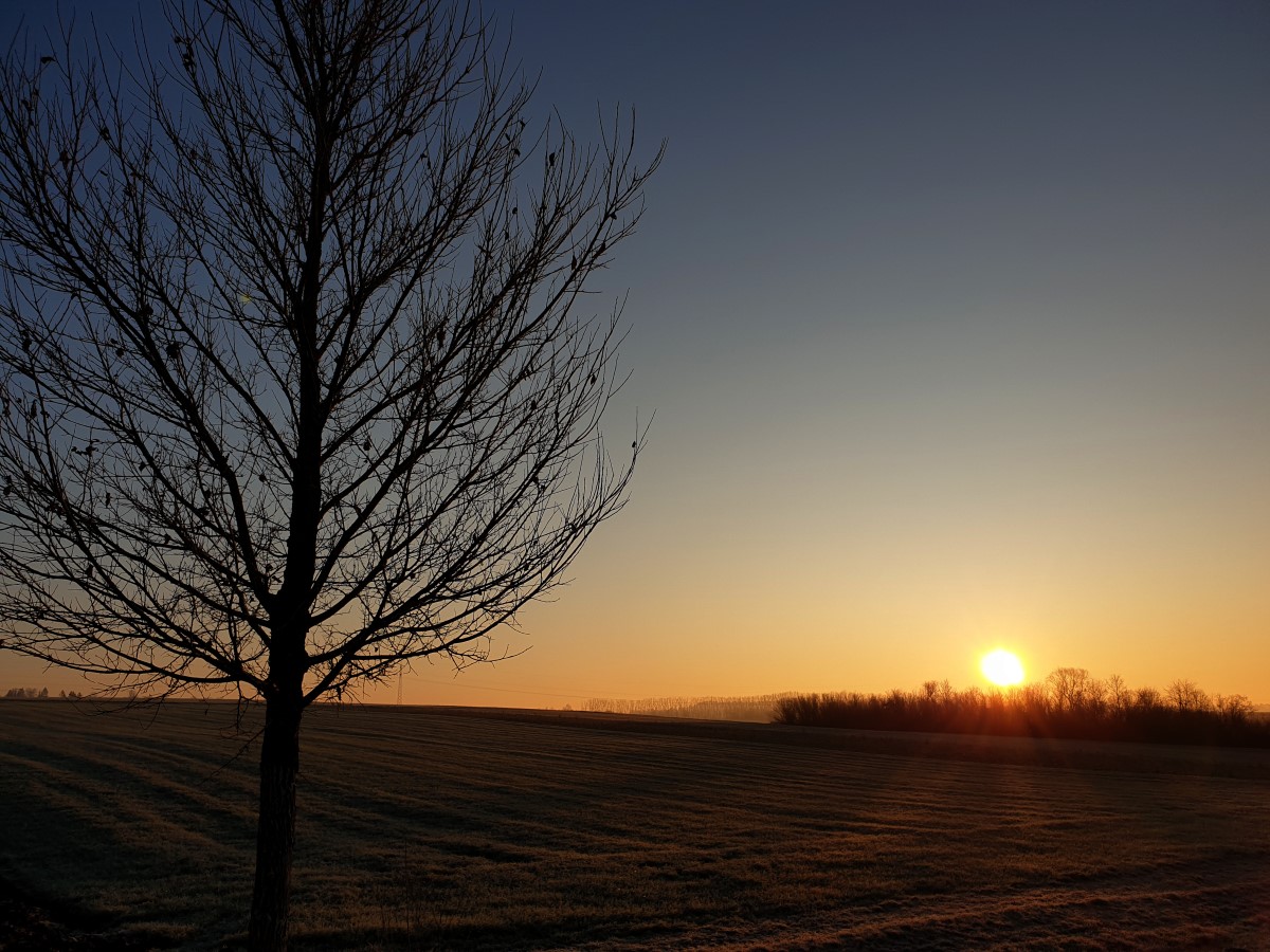 Wintersonnenwende-Der-k-rzeste-Tag-bringt-die-Wende