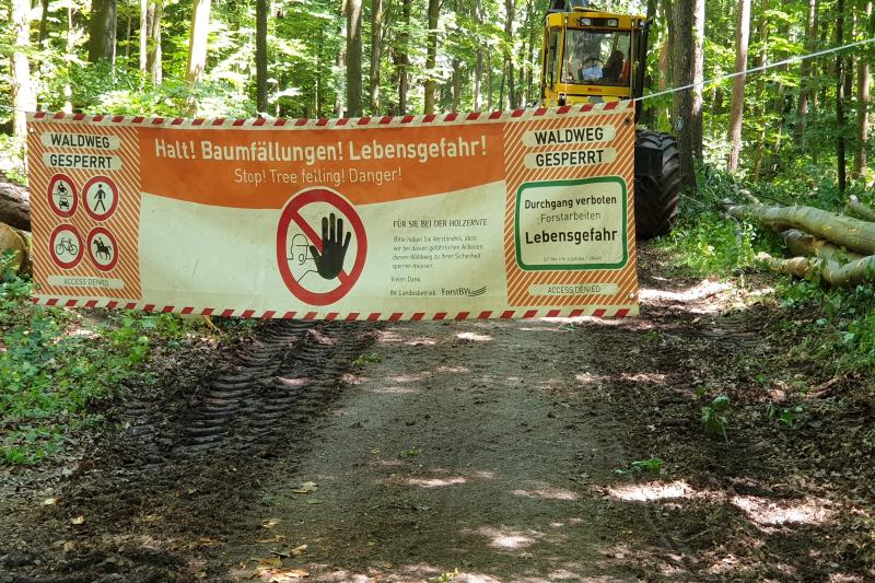 Start-der-Holzeinschlag-Saison