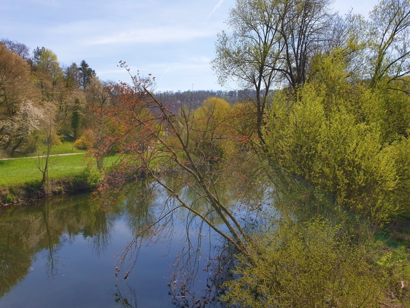 Verbesserung-der-Gew-sserstruktur-der-Enz