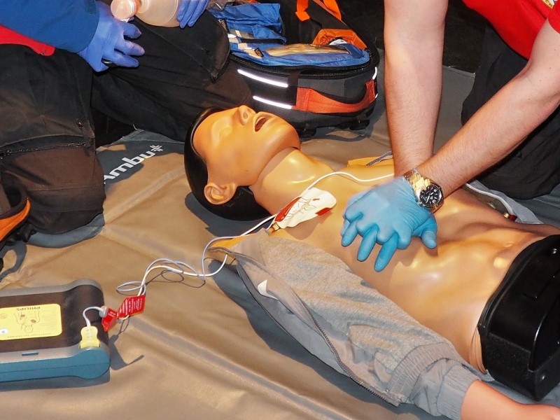 Leonberg-schult-sich-in-Notfall-Hilfe