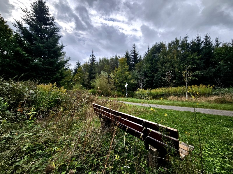 Verkehrssicherungspflicht-f-r-Sitzb-nke-im-Wald-soll-nun-doch-entfallen
