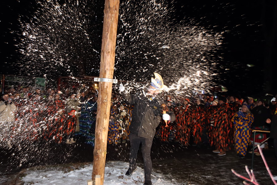 Wenn-die-Narren-unterm-Narrenbaum-tanzen