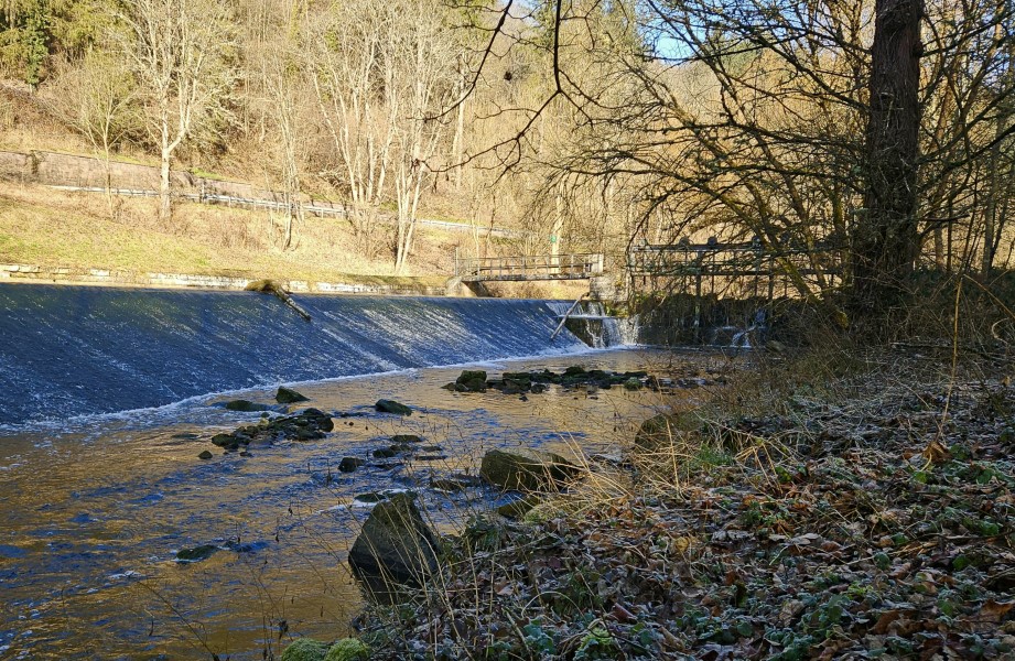 Gemeinderat-Tiefenbronn-tagt-erstmals-im-Jahr-2026