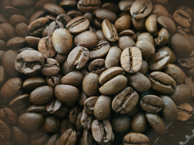 Neuer-GmbH-Hauptsitz-in-Rutesheim