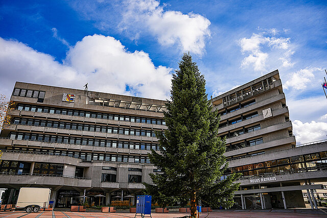 Weihnachtsbaum-auf-Pforzheimer-Marktplatz-aufgestellt