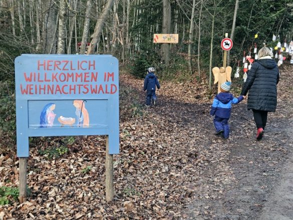 Der-Weihnachtswald-Tiefenbronn