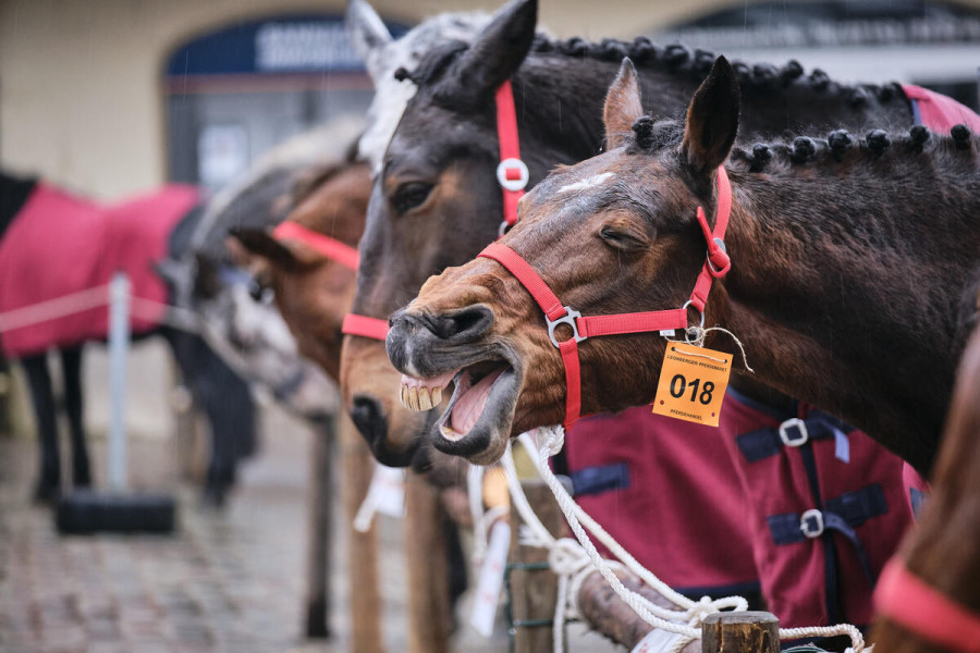 333-Jahre-Tradition-Feierliche-Er-ffnung-auf-dem-Marktplatz