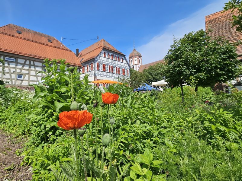 100-Jahre-OGV-Neuhausen-Pfarrgarten-ffnet-seine-Tore-zum-Jubil-um