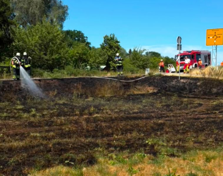 Fl-chenbrand-bei-Friolzheim-rasch-unter-Kontrolle